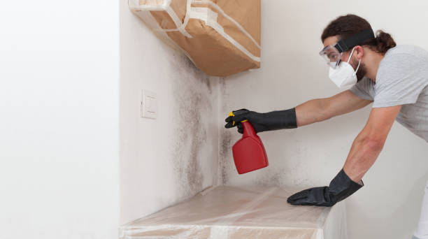 Professional Mold Testing technician working in Braintree, MA