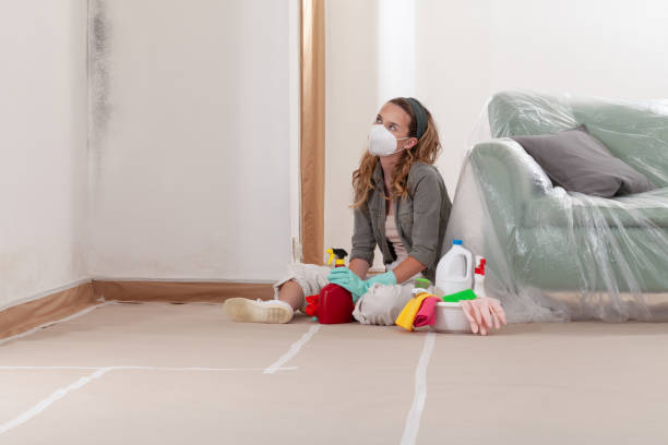 Reliable Mold Testing contractor in Braintree, MA by WQB Mold Removal